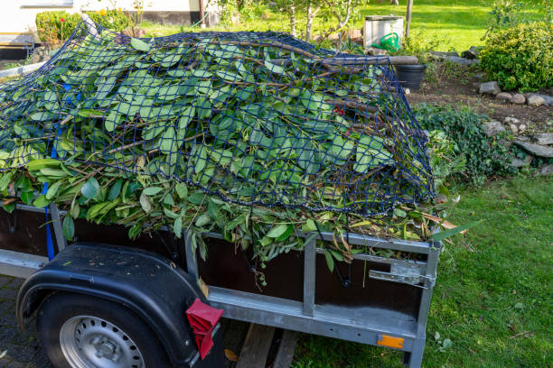 Best Dumpster Rental Services  in Holly Springs, MS